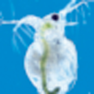 https://matsushita-bungu.co.jp/kyouzai/blog/udata/561-1652-6.jpg