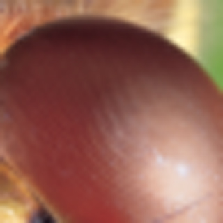 https://matsushita-bungu.co.jp/kyouzai/blog/udata/561-1652-8.jpg