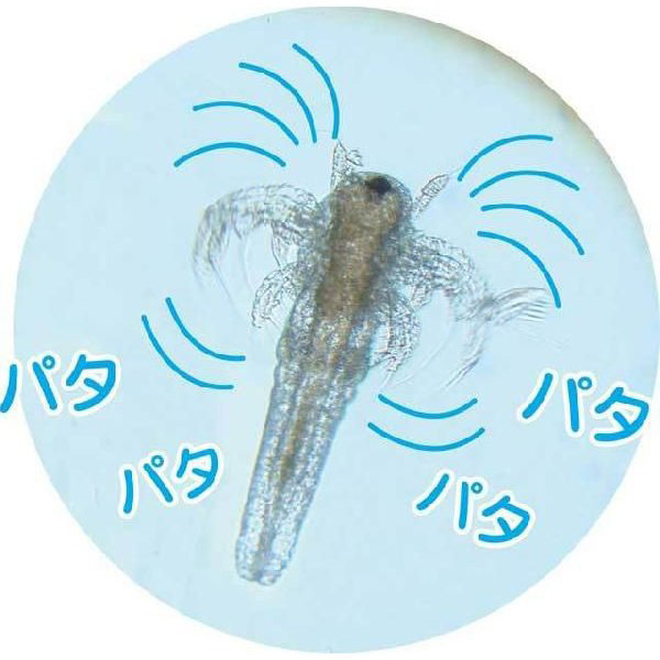 https://matsushita-bungu.co.jp/kyouzai/blog/udata/56980-1.jpg