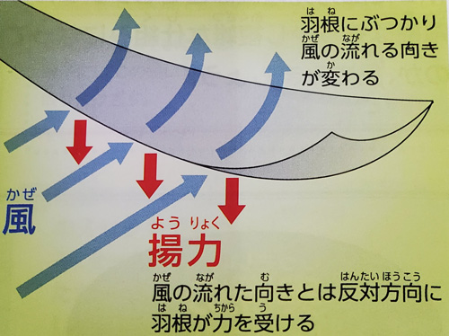 https://matsushita-bungu.co.jp/kyouzai/blog/udata/7-1.jpg