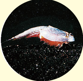 https://matsushita-bungu.co.jp/kyouzai/blog/udata/8-4.jpg