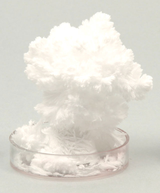 https://matsushita-bungu.co.jp/kyouzai/blog/udata/88795-1114.jpg