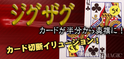 https://matsushita-bungu.co.jp/kyouzai/blog/udata/ACS-755-b%5B1%5D.jpg