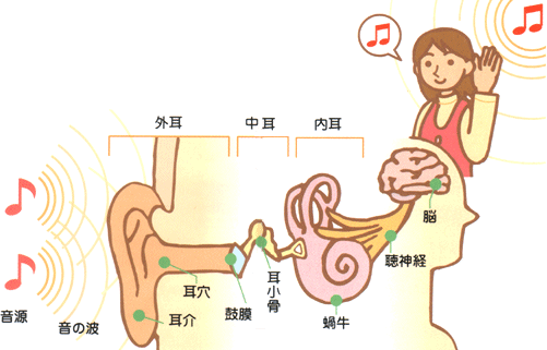 https://matsushita-bungu.co.jp/kyouzai/blog/udata/MIMI.gif