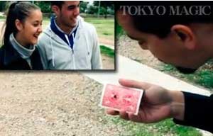 https://matsushita-bungu.co.jp/kyouzai/blog/udata/acs-1167d4.jpg