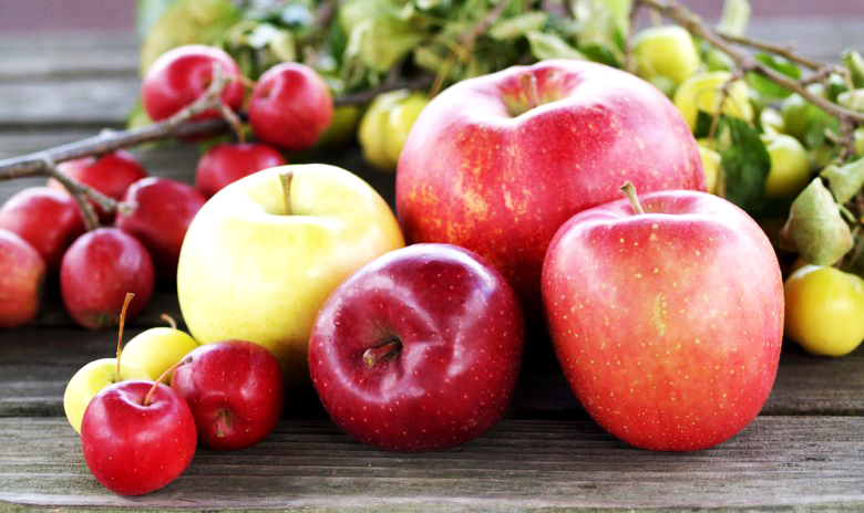 https://matsushita-bungu.co.jp/kyouzai/blog/udata/apples001.png