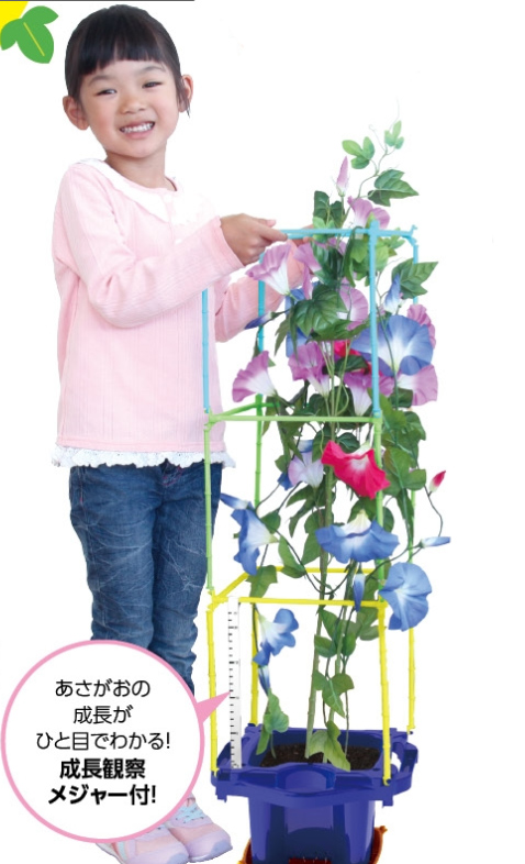 https://matsushita-bungu.co.jp/kyouzai/blog/udata/asa-1.jpg