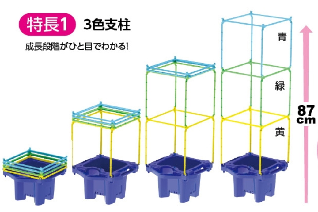 https://matsushita-bungu.co.jp/kyouzai/blog/udata/asa-3.jpg