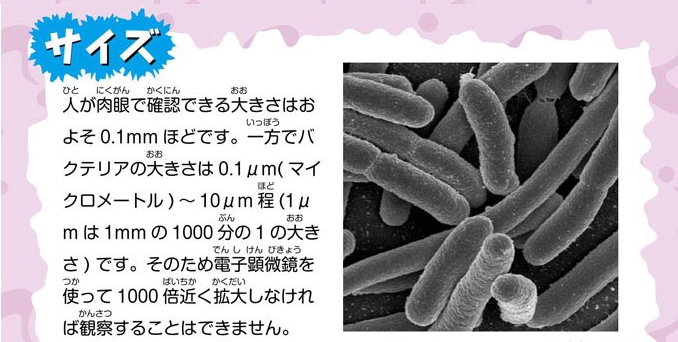 https://matsushita-bungu.co.jp/kyouzai/blog/udata/bakuteria2.jpg