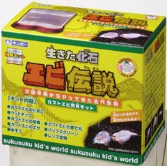 https://matsushita-bungu.co.jp/kyouzai/blog/udata/cache/2012/11/ebidensetu-thumb-240x238-983.jpg