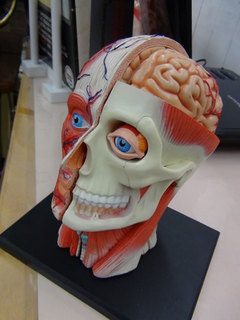 https://matsushita-bungu.co.jp/kyouzai/blog/udata/cache/2013/03/puzzle-thumb-240x320-2456.jpg