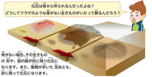 https://matsushita-bungu.co.jp/kyouzai/blog/udata/cache/2013/11/055751-2-thumb-300x153-4819.jpg