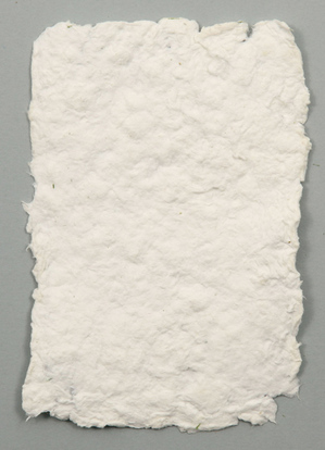 55721-4-sirotuyosa2.jpg