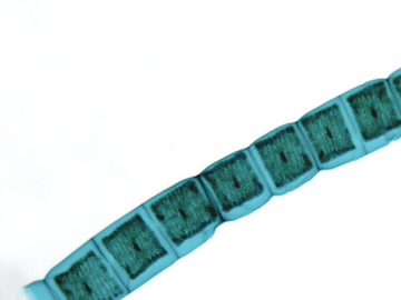 94730aomidoro.jpg