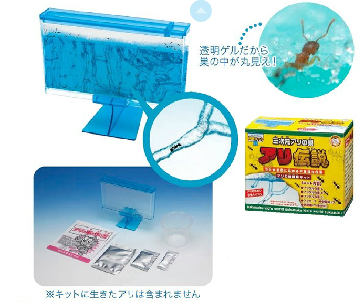 https://matsushita-bungu.co.jp/kyouzai/blog/udata/dennsetu.jpg