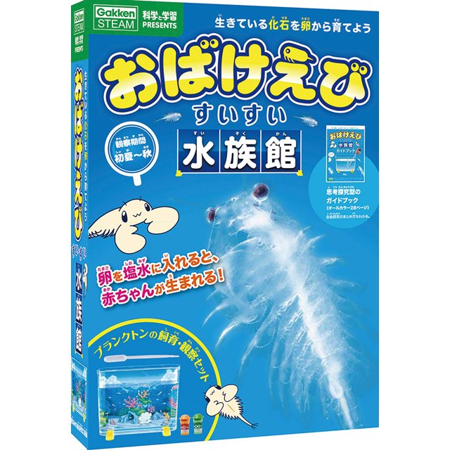 https://matsushita-bungu.co.jp/kyouzai/blog/udata/ebi.jpg