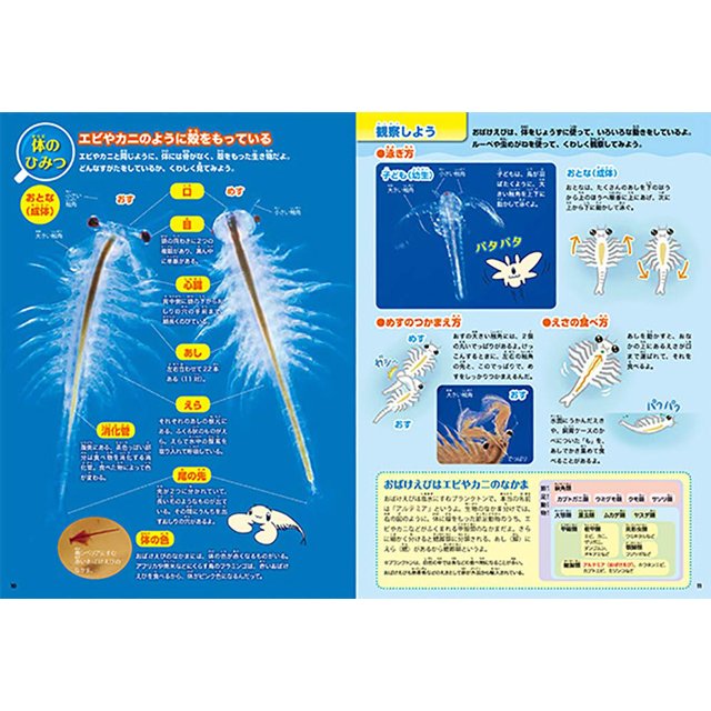 https://matsushita-bungu.co.jp/kyouzai/blog/udata/ebibinobibibi.jpg