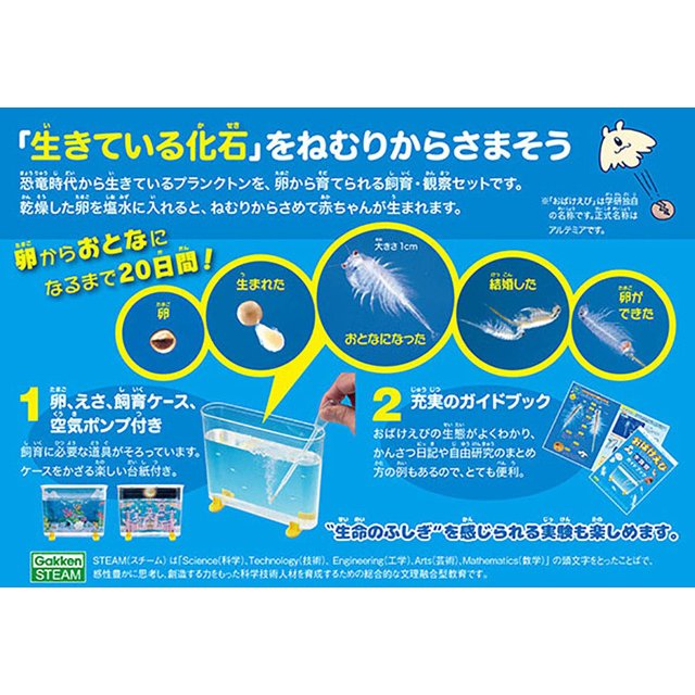 https://matsushita-bungu.co.jp/kyouzai/blog/udata/ebiebi.jpg