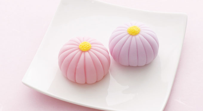https://matsushita-bungu.co.jp/kyouzai/blog/udata/f1-1.jpg