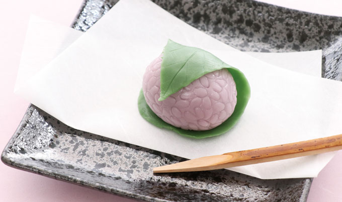 https://matsushita-bungu.co.jp/kyouzai/blog/udata/f7.jpg
