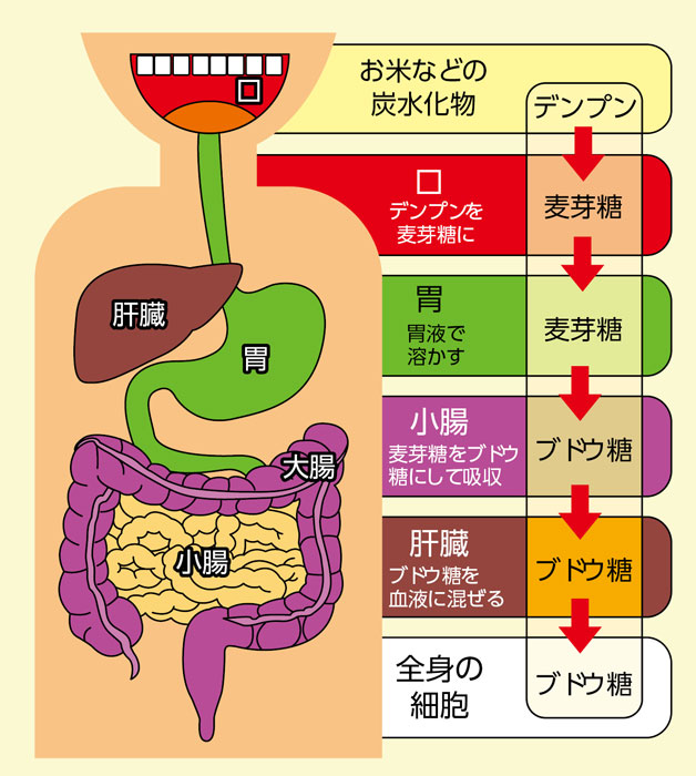 https://matsushita-bungu.co.jp/kyouzai/blog/udata/karada.jpg