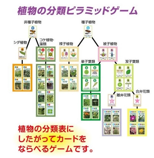 https://matsushita-bungu.co.jp/kyouzai/blog/udata/kyouzai-j_a055723_4.jpg