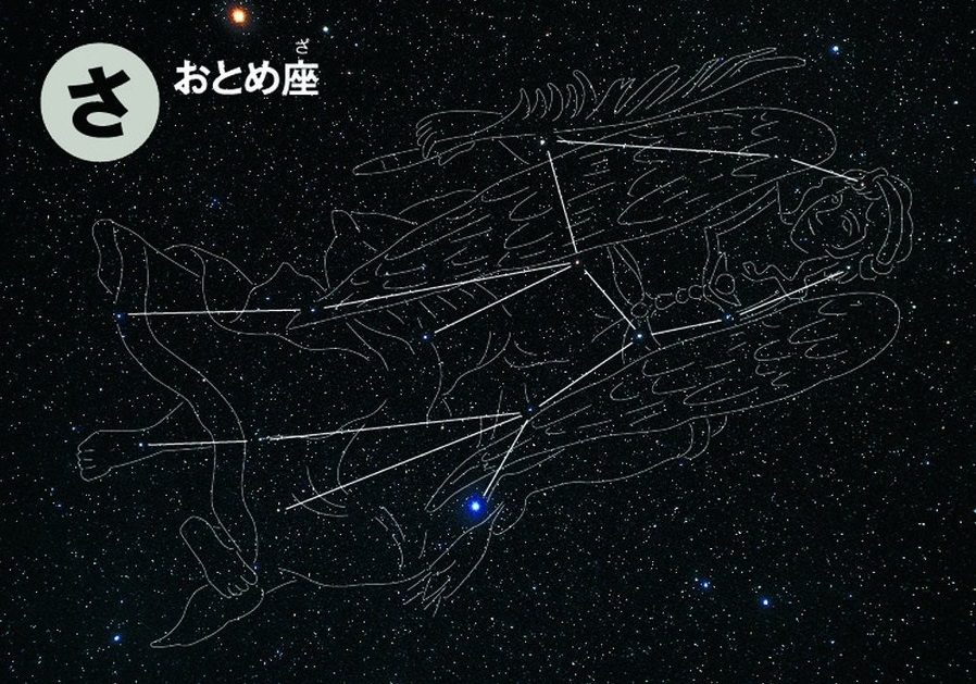 https://matsushita-bungu.co.jp/kyouzai/blog/udata/kyouzai-j_q750334_3.jpg