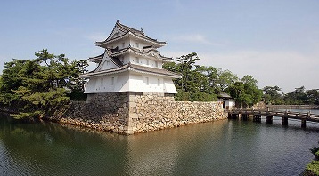 https://matsushita-bungu.co.jp/kyouzai/blog/udata/tamamo2.jpg